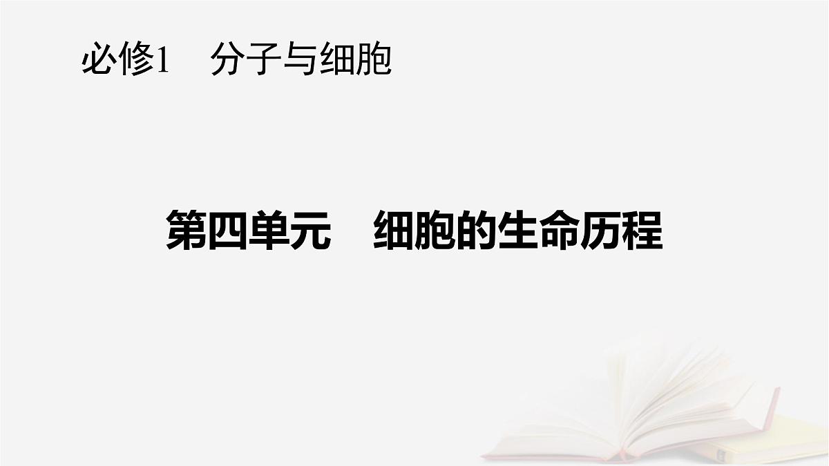2026届高考生物一轮总复习必修1第4单元细胞的生命历程第3讲细胞的分化衰老和死亡课件第1页