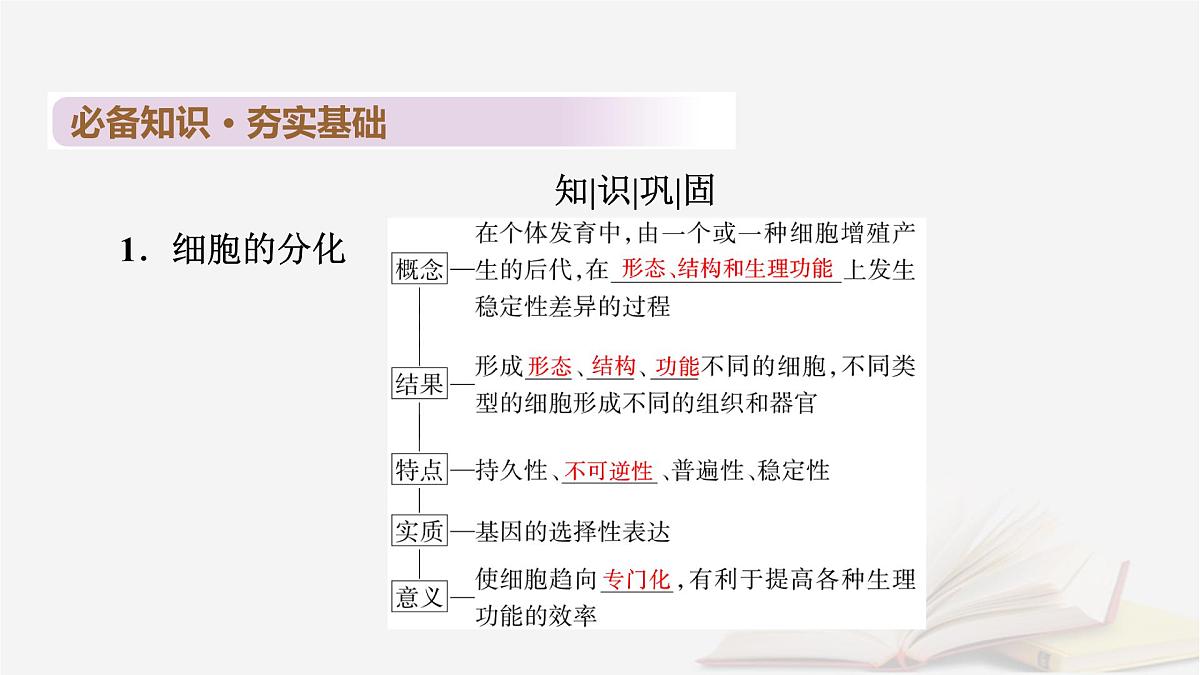2026届高考生物一轮总复习必修1第4单元细胞的生命历程第3讲细胞的分化衰老和死亡课件第6页