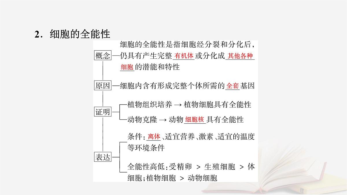 2026届高考生物一轮总复习必修1第4单元细胞的生命历程第3讲细胞的分化衰老和死亡课件第8页