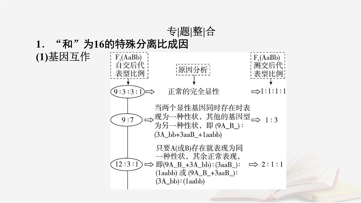 2026届高考生物一轮总复习必修2微专题6基因自由组合定律课件第2页