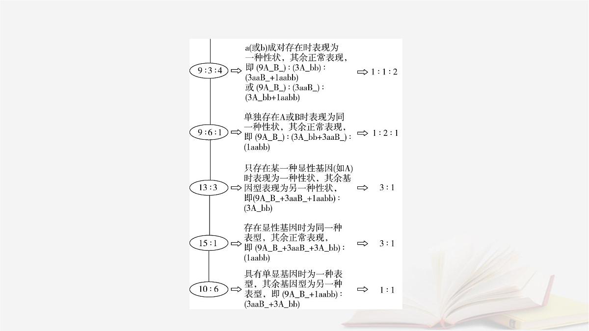 2026届高考生物一轮总复习必修2微专题6基因自由组合定律课件第3页