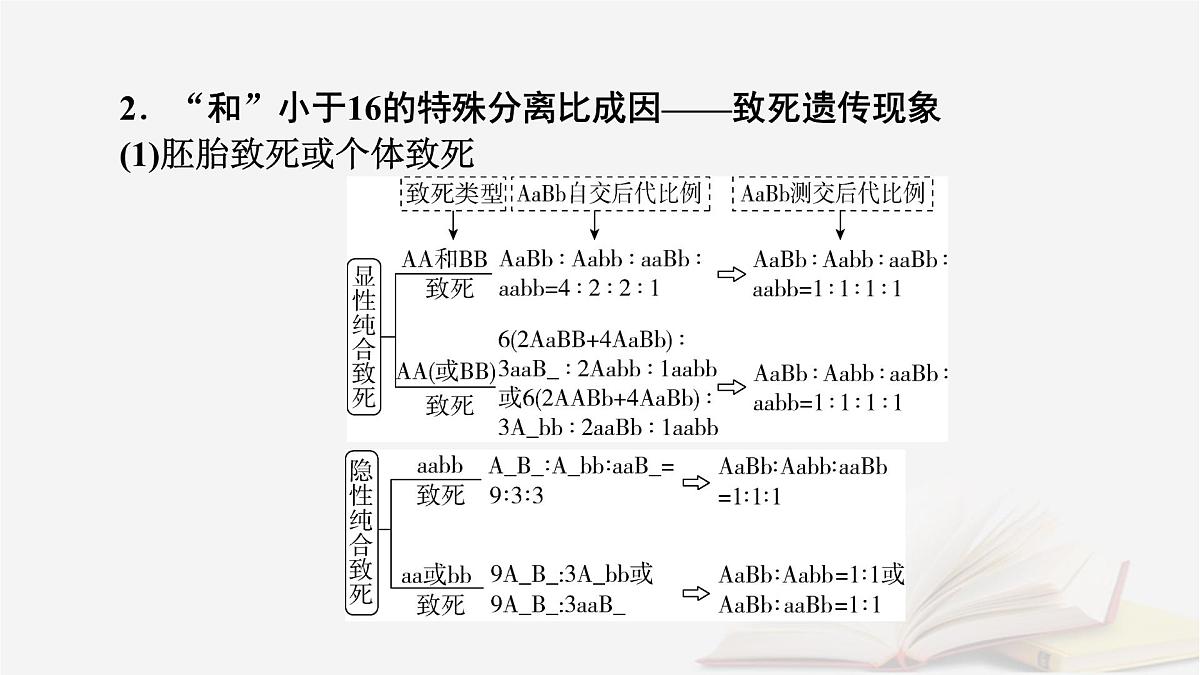 2026届高考生物一轮总复习必修2微专题6基因自由组合定律课件第5页
