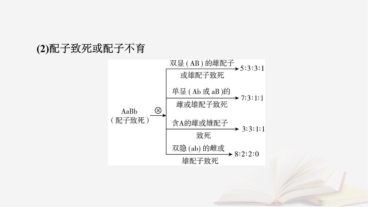 2026届高考生物一轮总复习必修2微专题6基因自由组合定律课件第6页