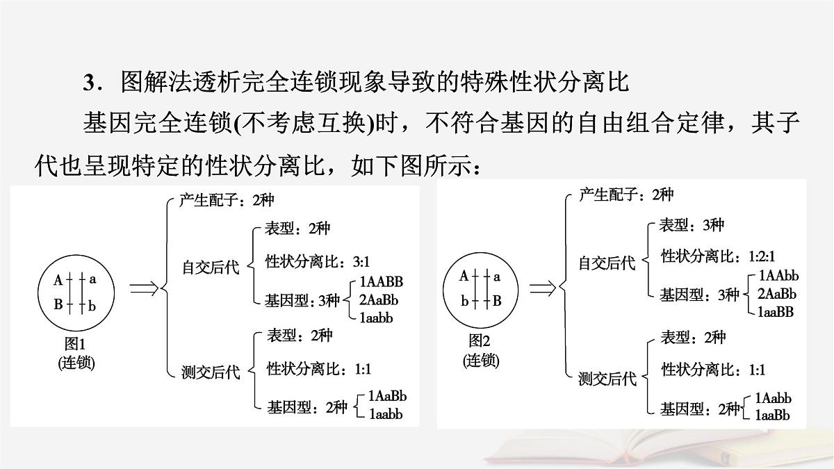 2026届高考生物一轮总复习必修2微专题6基因自由组合定律课件第7页