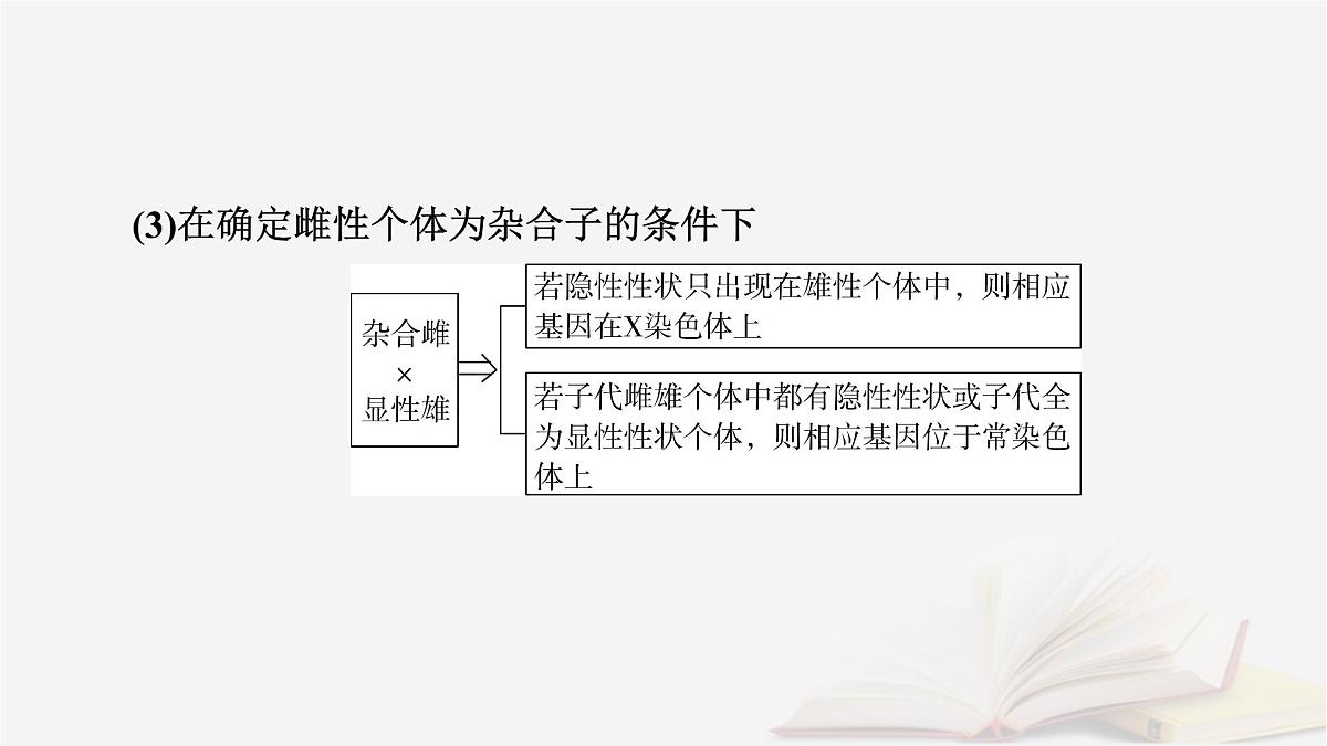 2026届高考生物一轮总复习必修2微专题7基因在染色体上位置的判断课件第4页