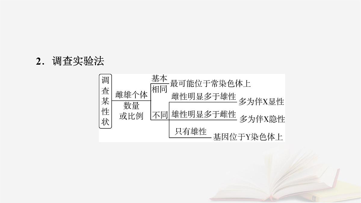 2026届高考生物一轮总复习必修2微专题7基因在染色体上位置的判断课件第5页