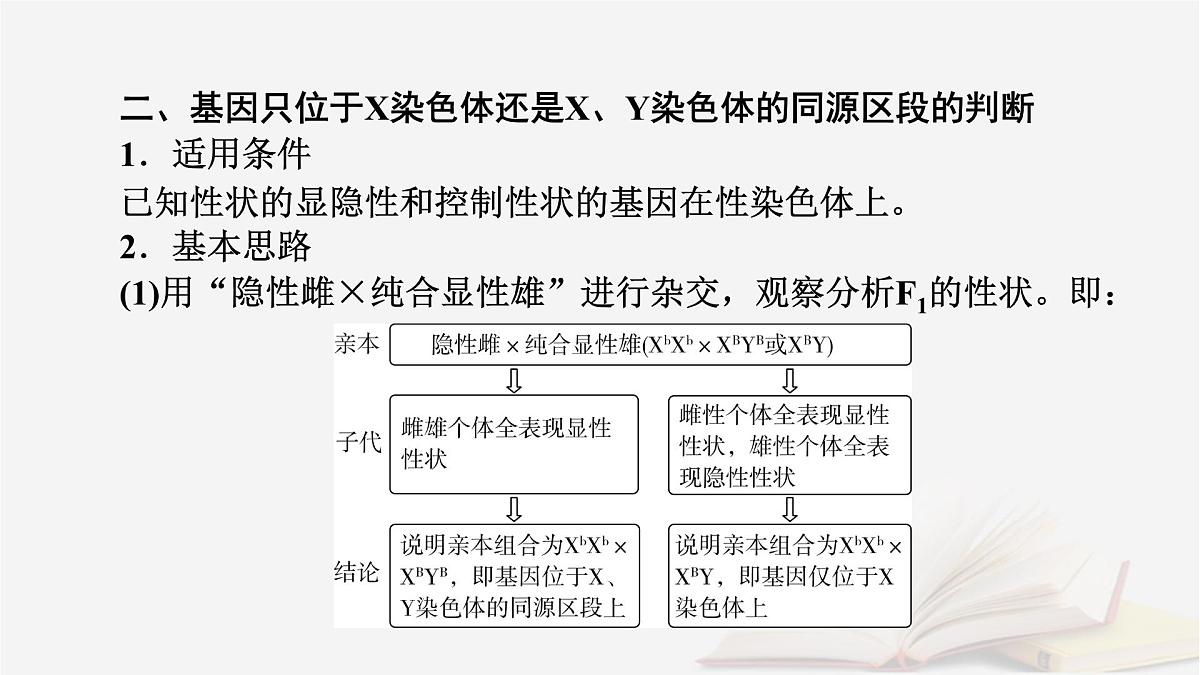 2026届高考生物一轮总复习必修2微专题7基因在染色体上位置的判断课件第6页