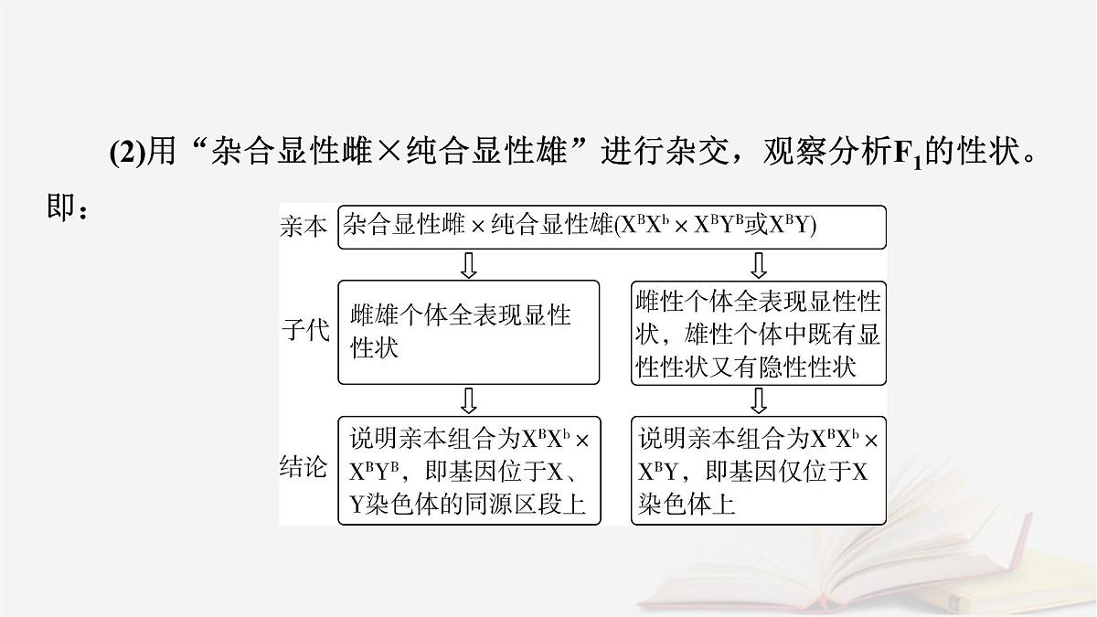 2026届高考生物一轮总复习必修2微专题7基因在染色体上位置的判断课件第7页