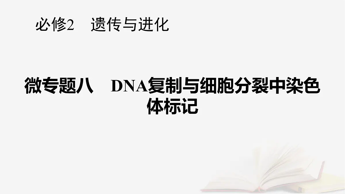 2026届高考生物一轮总复习必修2微专题8DNA复制与细胞分裂中染色体标记课件第1页