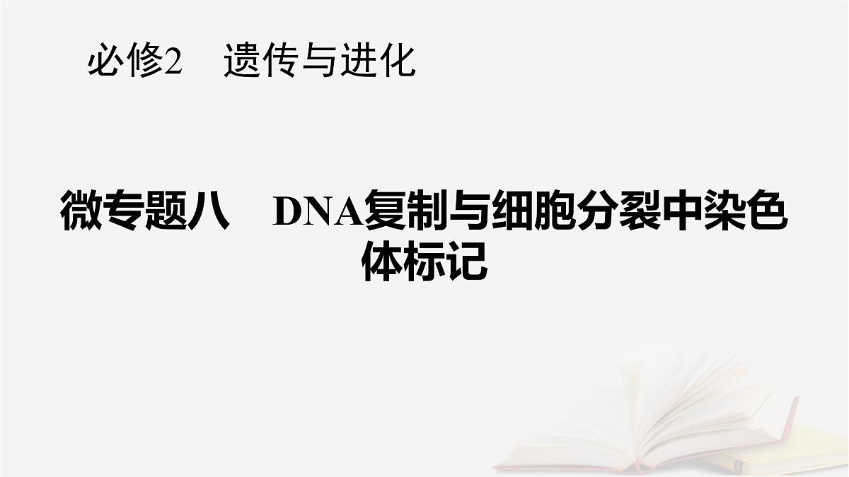 2026届高考生物一轮总复习必修2微专题8DNA复制与细胞分裂中染色体标记课件第1页