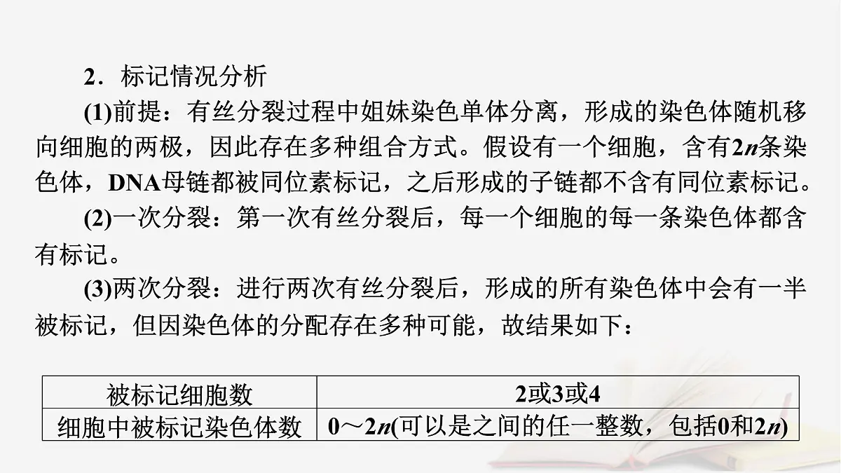 2026届高考生物一轮总复习必修2微专题8DNA复制与细胞分裂中染色体标记课件第6页