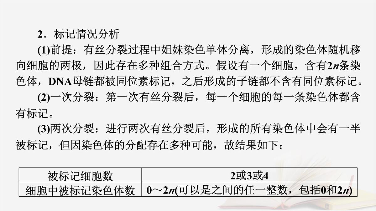 2026届高考生物一轮总复习必修2微专题8DNA复制与细胞分裂中染色体标记课件第6页