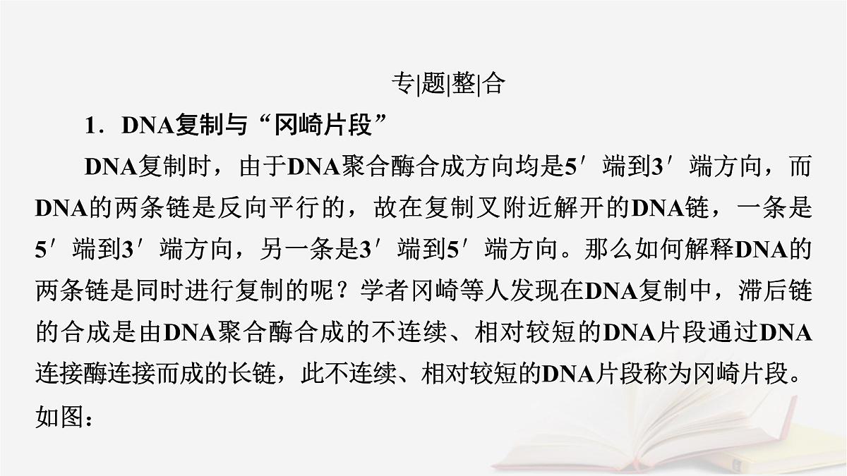 2026届高考生物一轮总复习必修2微专题9冈崎片段和基因表达的调控课件第2页