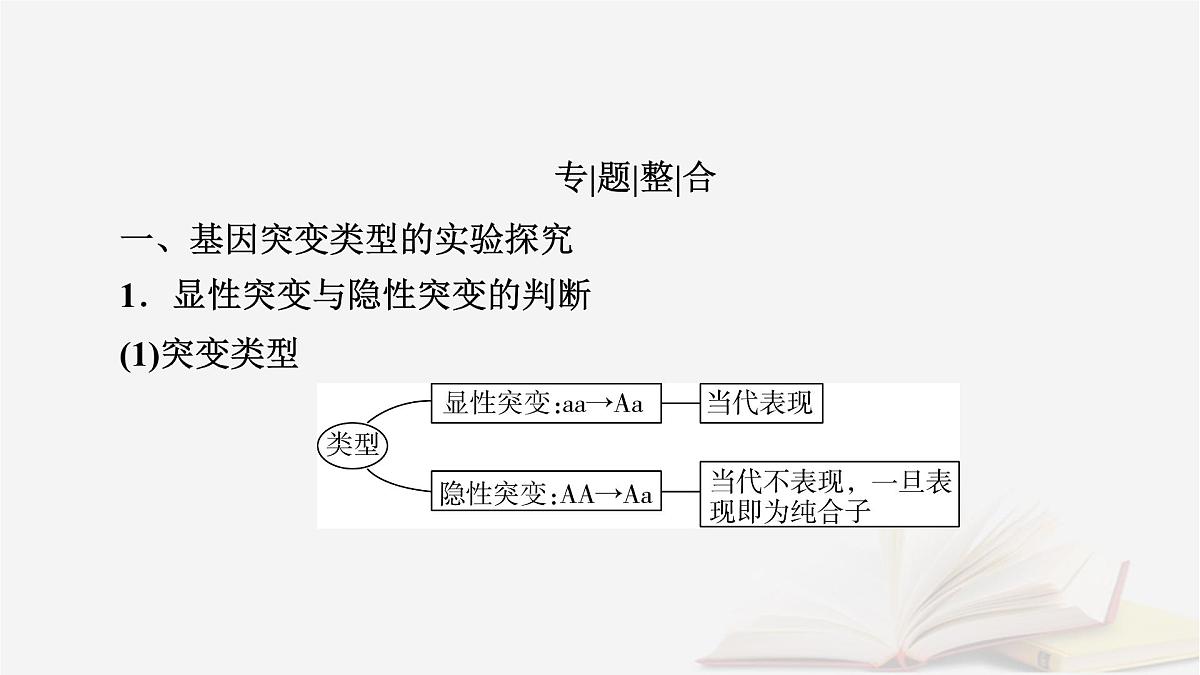 2026届高考生物一轮总复习必修2微专题10生物变异类型的判断及应用课件第2页