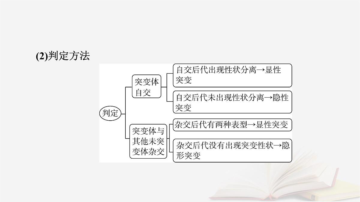 2026届高考生物一轮总复习必修2微专题10生物变异类型的判断及应用课件第3页