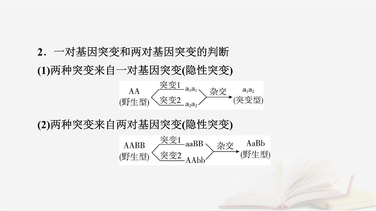 2026届高考生物一轮总复习必修2微专题10生物变异类型的判断及应用课件第4页
