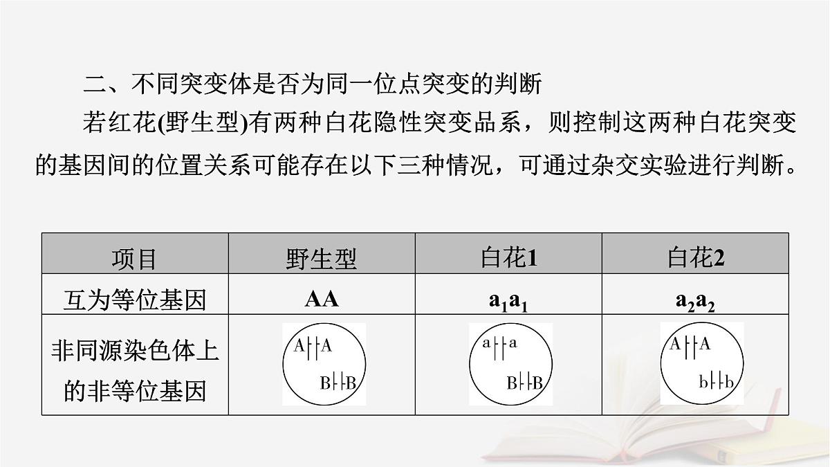 2026届高考生物一轮总复习必修2微专题10生物变异类型的判断及应用课件第5页