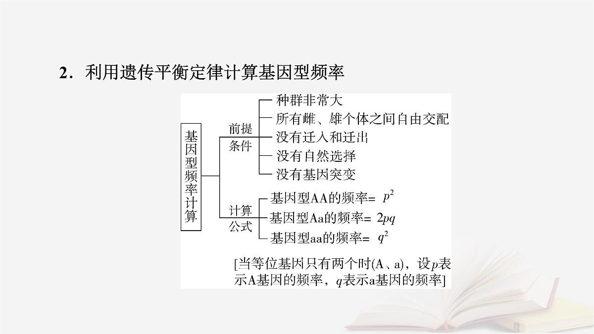 2026届高考生物一轮总复习必修2微专题11种群基因频率计算及应用课件第3页