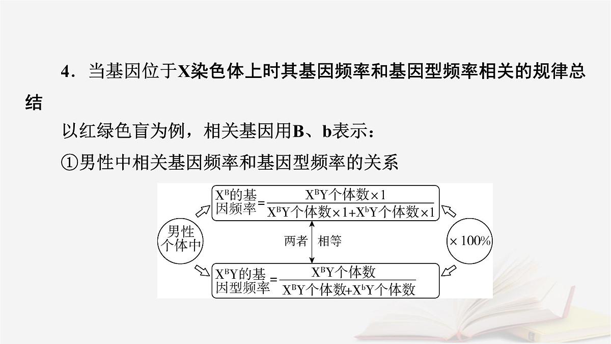 2026届高考生物一轮总复习必修2微专题11种群基因频率计算及应用课件第5页