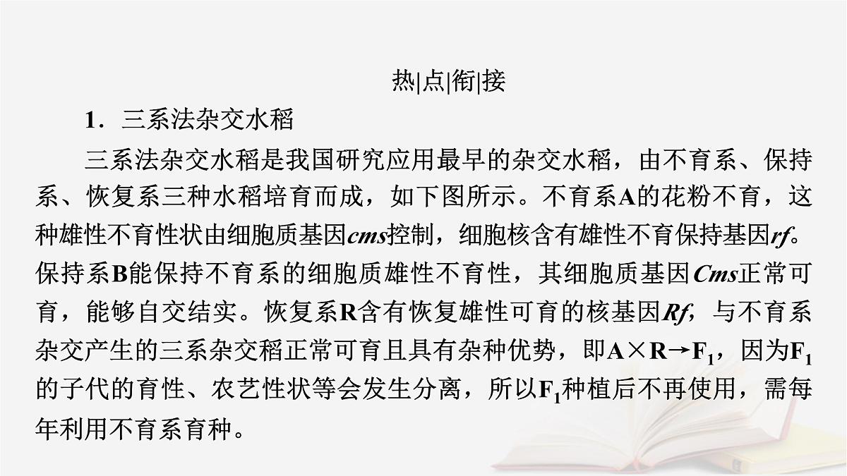 2026届高考生物一轮总复习必修2热点拓展3雄性不育与三系法两系法杂交育种课件第2页