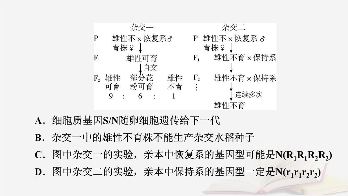 2026届高考生物一轮总复习必修2热点拓展3雄性不育与三系法两系法杂交育种课件第7页