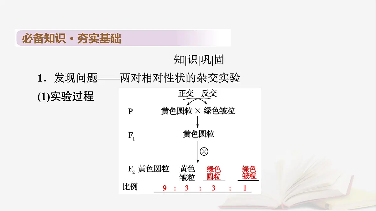 2026届高考生物一轮总复习必修2第5单元孟德尔定律和伴性遗传第2讲基因的自由组合定律课件第6页