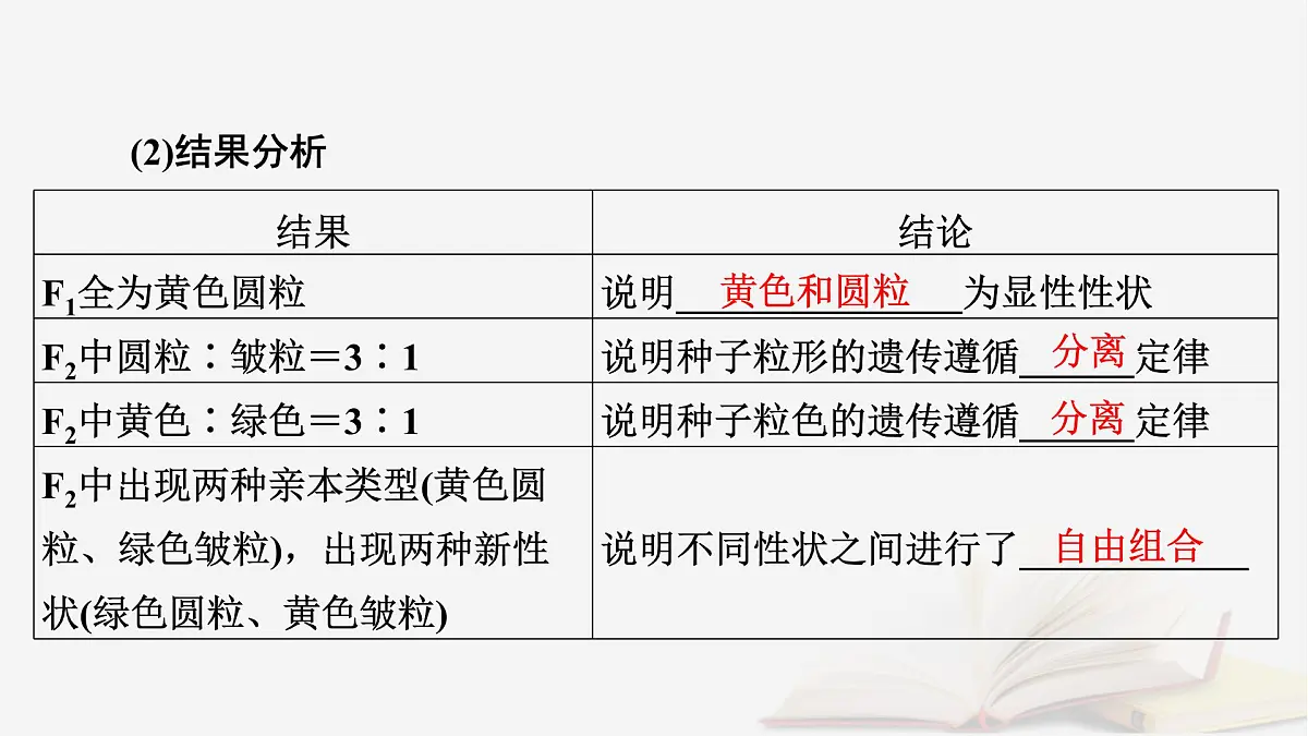 2026届高考生物一轮总复习必修2第5单元孟德尔定律和伴性遗传第2讲基因的自由组合定律课件第7页