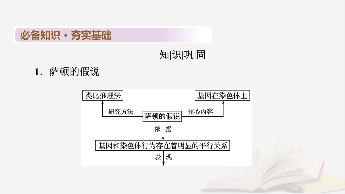 2026届高考生物一轮总复习必修2第5单元孟德尔定律和伴性遗传第3讲伴性遗传课件第6页