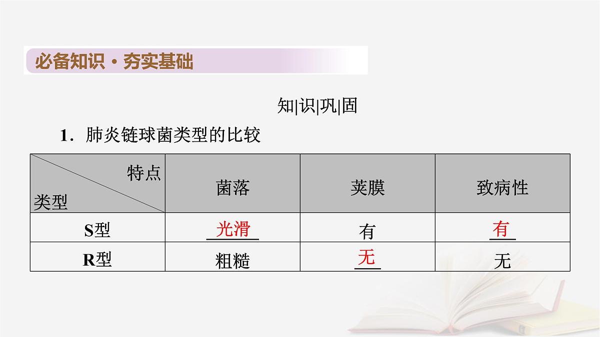2026届高考生物一轮总复习必修2第6单元遗传的分子基础第1讲DNA是主要的遗传物质课件第6页