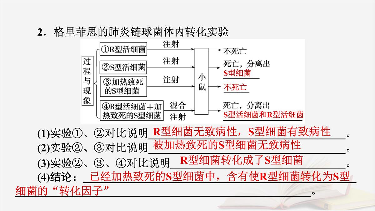 2026届高考生物一轮总复习必修2第6单元遗传的分子基础第1讲DNA是主要的遗传物质课件第7页
