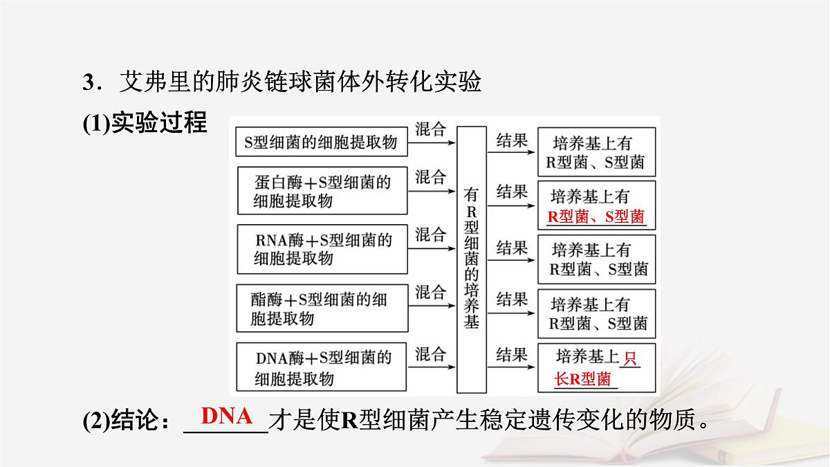 2026届高考生物一轮总复习必修2第6单元遗传的分子基础第1讲DNA是主要的遗传物质课件第8页