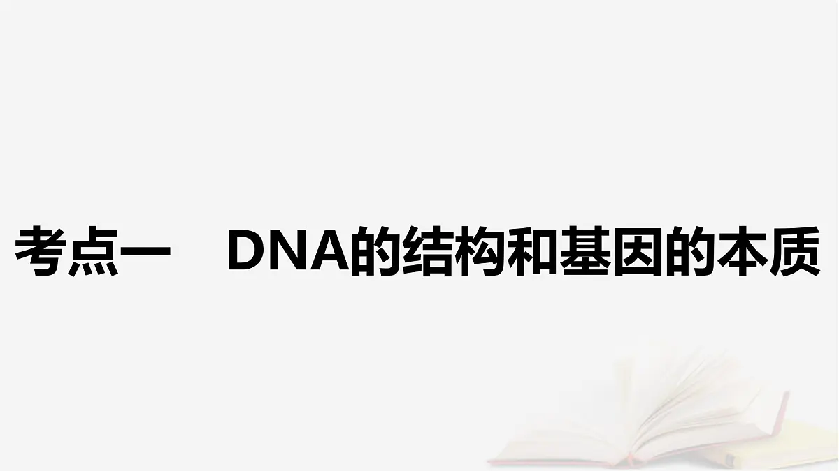 2026届高考生物一轮总复习必修2第6单元遗传的分子基础第2讲DNA分子的结构复制与基因的本质课件第6页