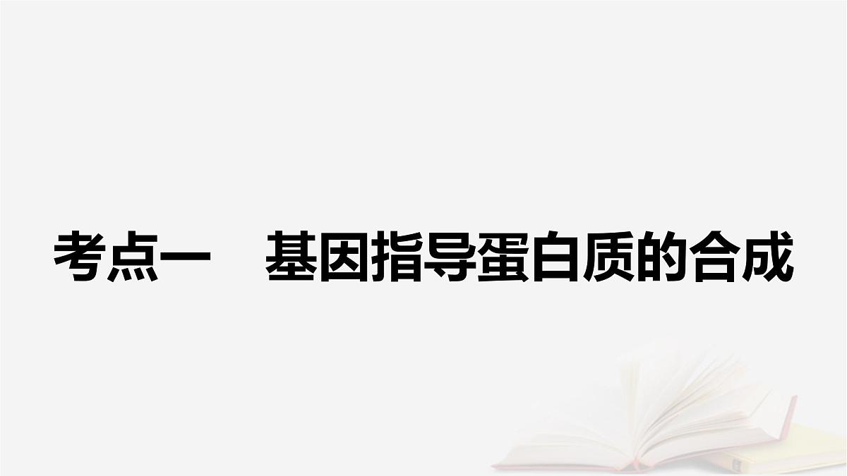 2026届高考生物一轮总复习必修2第6单元遗传的分子基础第3讲基因的表达课件第5页