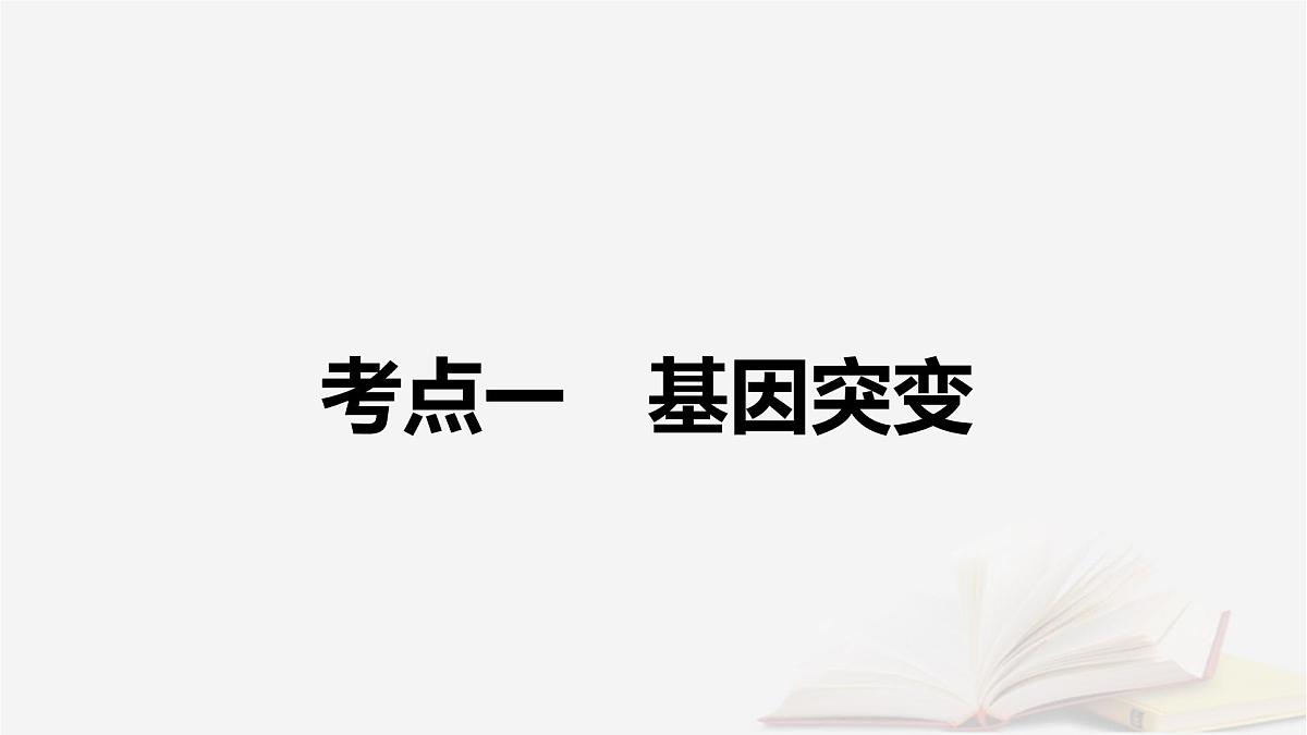 2026届高考生物一轮总复习必修2第7单元生物的变异育种与进化第1讲基因突变和基因重组课件第5页