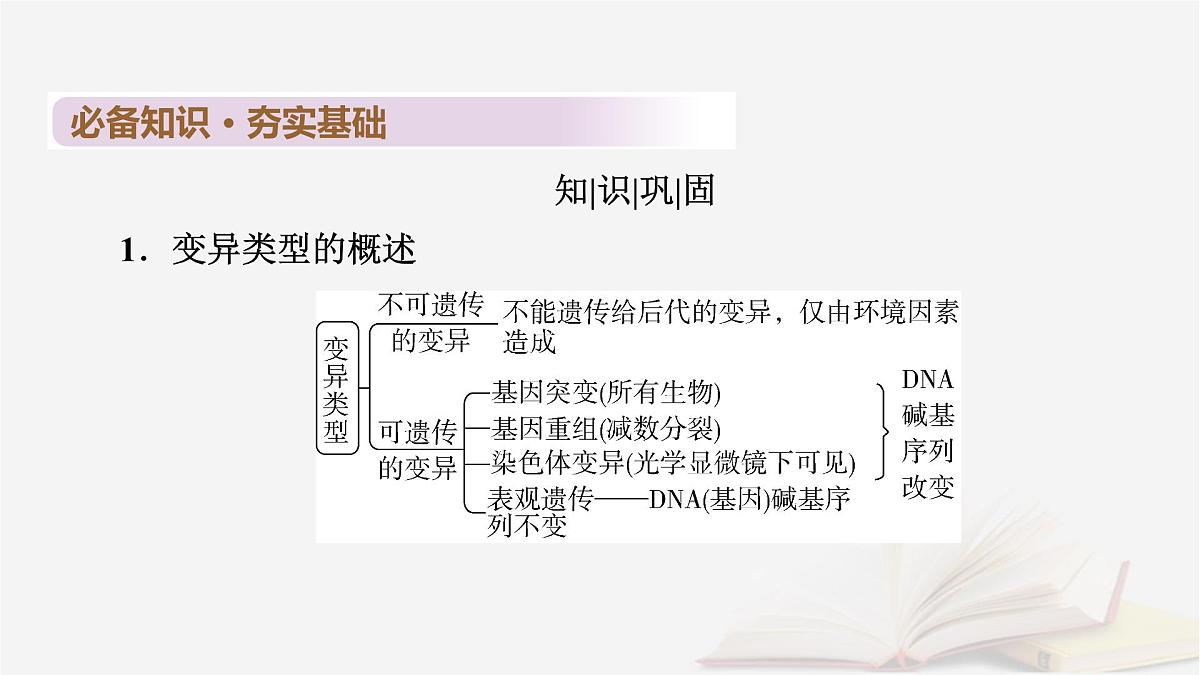 2026届高考生物一轮总复习必修2第7单元生物的变异育种与进化第1讲基因突变和基因重组课件第6页