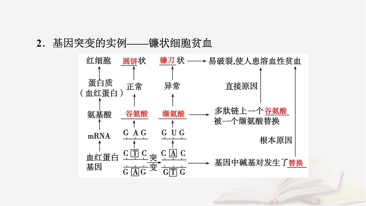 2026届高考生物一轮总复习必修2第7单元生物的变异育种与进化第1讲基因突变和基因重组课件第7页