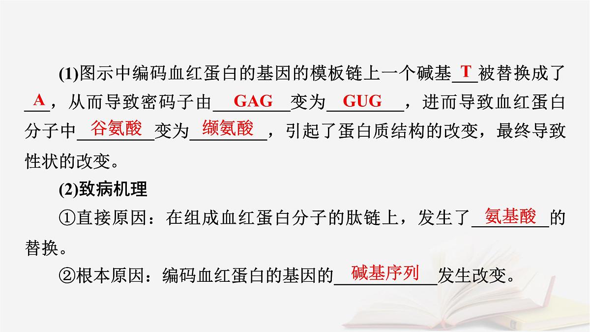 2026届高考生物一轮总复习必修2第7单元生物的变异育种与进化第1讲基因突变和基因重组课件第8页