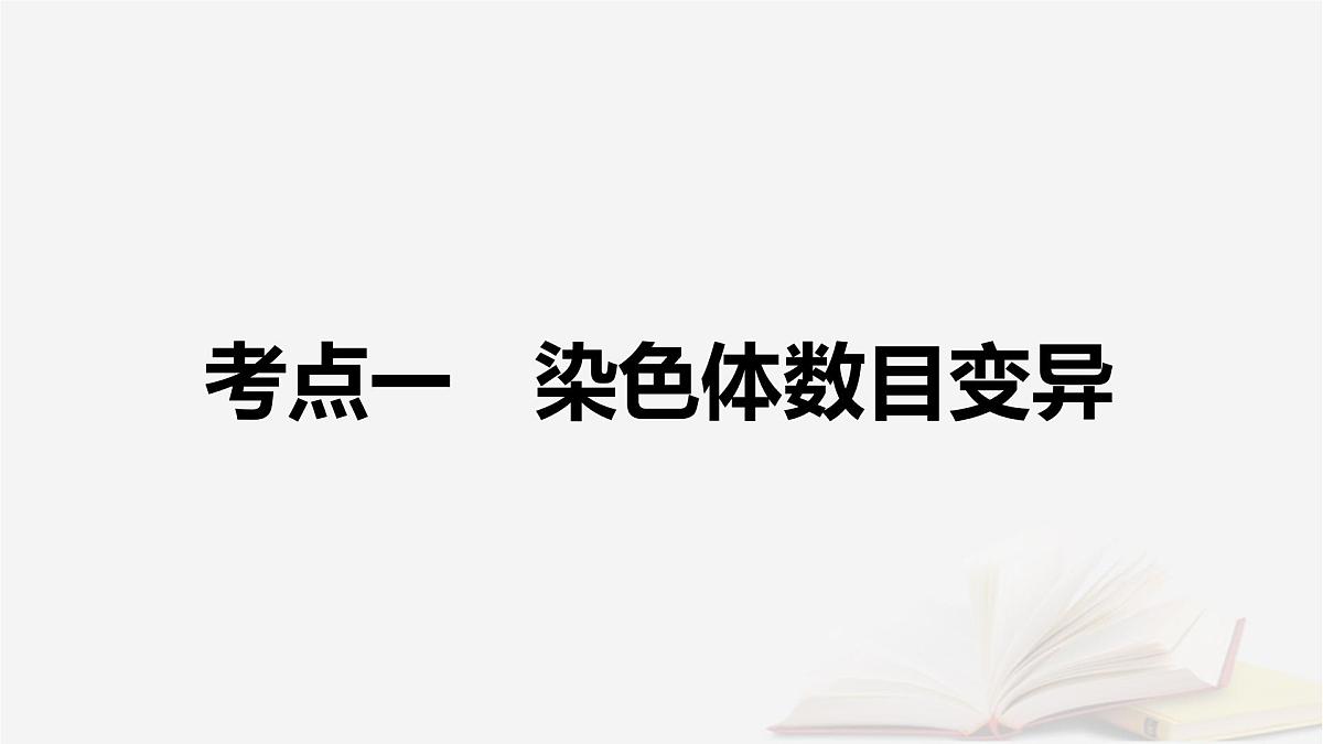 2026届高考生物一轮总复习必修2第7单元生物的变异育种与进化第2讲染色体变异及其应用课件第6页