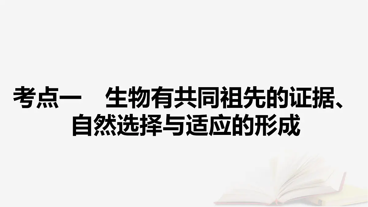 2026届高考生物一轮总复习必修2第7单元生物的变异育种与进化第3讲生物的进化课件第6页