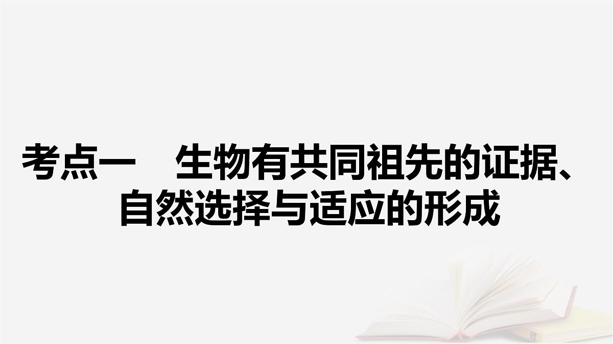 2026届高考生物一轮总复习必修2第7单元生物的变异育种与进化第3讲生物的进化课件第6页