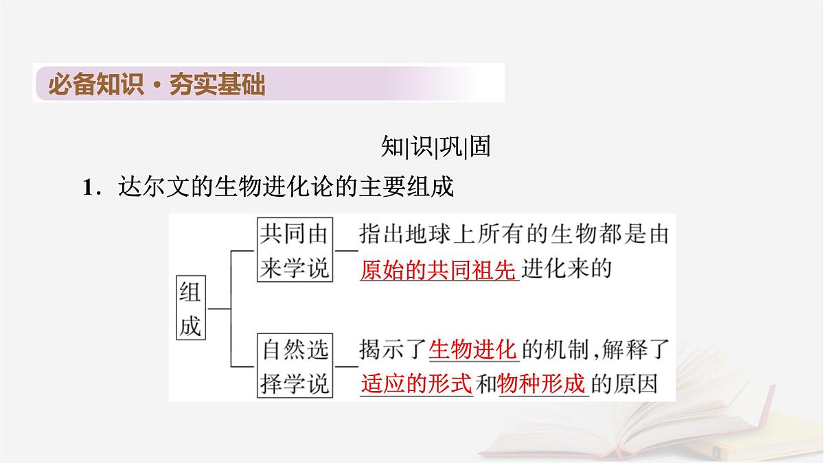 2026届高考生物一轮总复习必修2第7单元生物的变异育种与进化第3讲生物的进化课件第7页