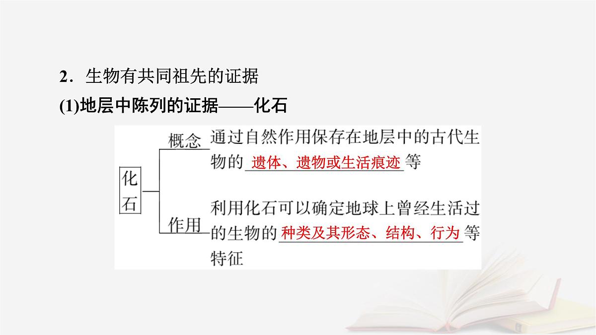 2026届高考生物一轮总复习必修2第7单元生物的变异育种与进化第3讲生物的进化课件第8页