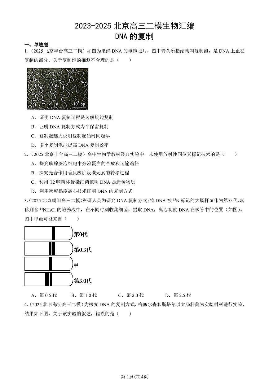 2023-2025北京高三二模[高考模拟]生物汇编：DNA的复制第1页