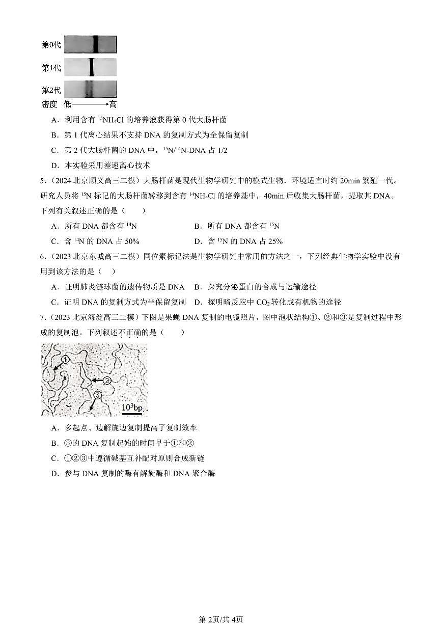 2023-2025北京高三二模[高考模拟]生物汇编：DNA的复制第2页