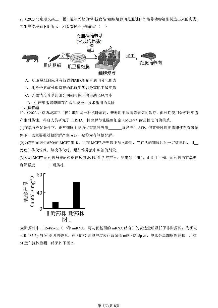 2023-2025北京高三二模[高考模拟]生物汇编：动物细胞工程第3页