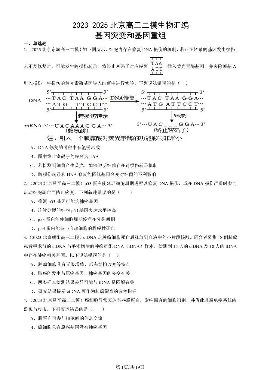 2023-2025北京高三二模[高考模拟]生物汇编：基因突变和基因重组第1页