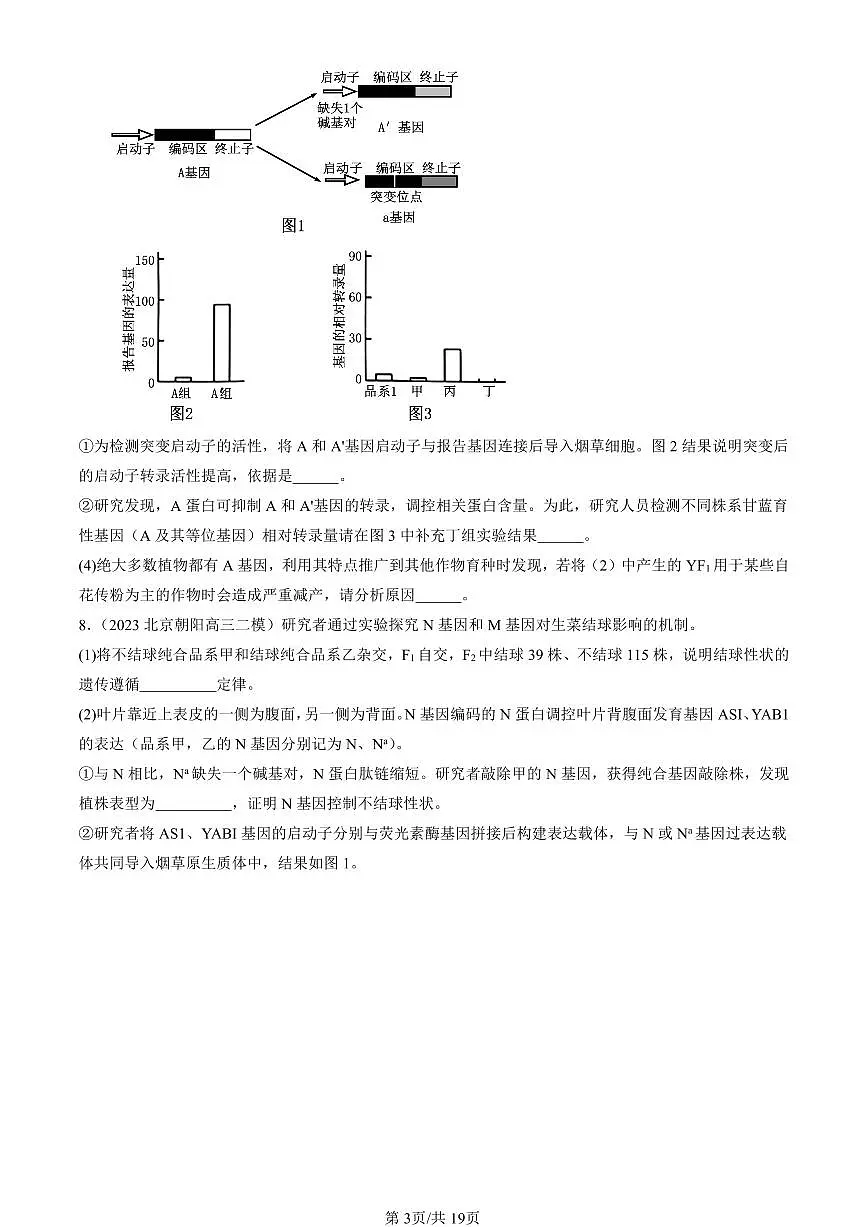 2023-2025北京高三二模[高考模拟]生物汇编：基因突变和基因重组第3页