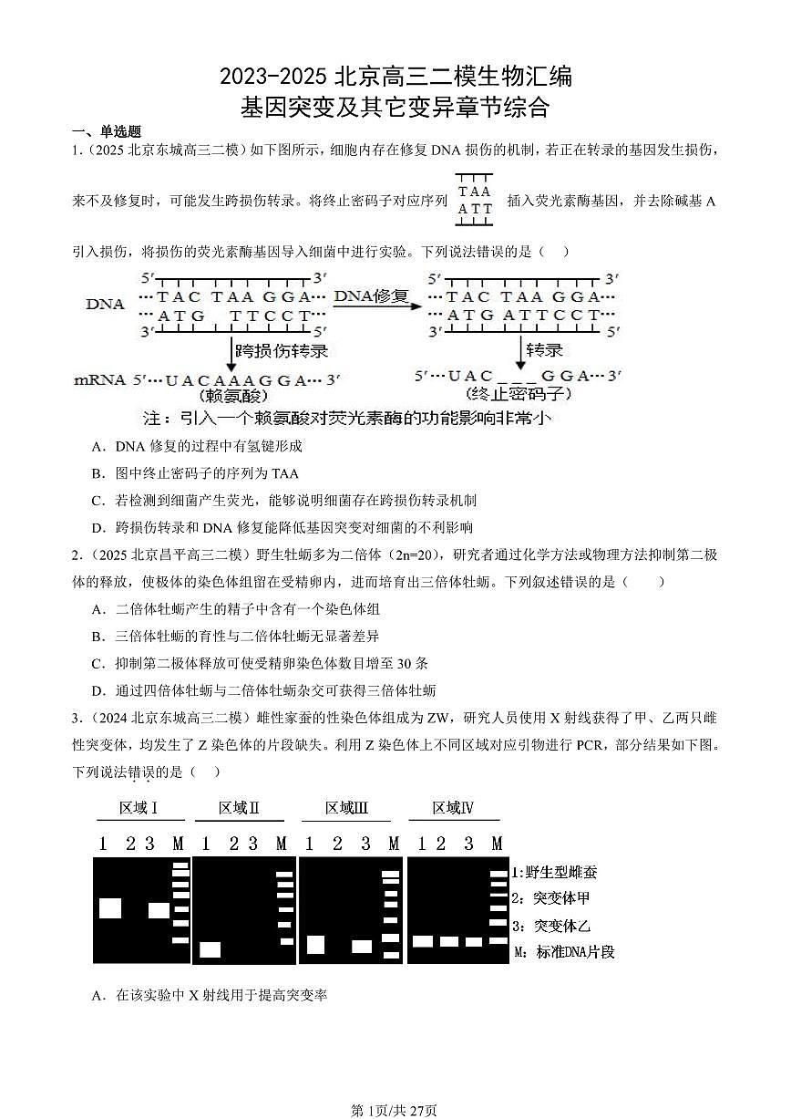 2023-2025北京高三二模[高考模拟]生物汇编：基因突变及其它变异章节综合第1页
