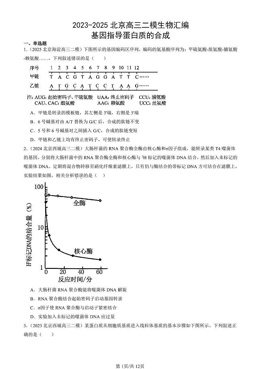 2023-2025北京高三二模[高考模拟]生物汇编：基因指导蛋白质的合成第1页