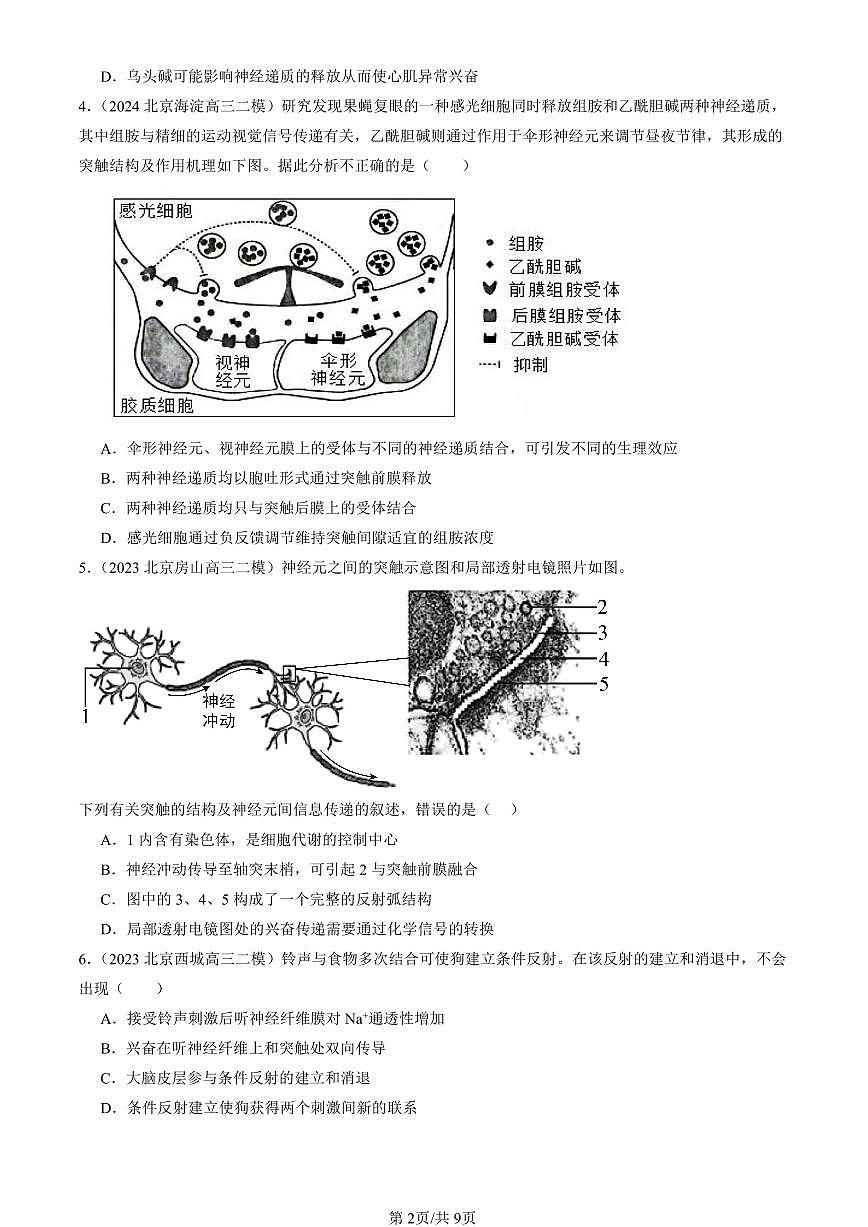 2023-2025北京高三二模[高考模拟]生物汇编：神经冲动的产生和传导第2页